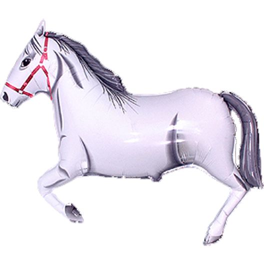 Cavalo branco HSG