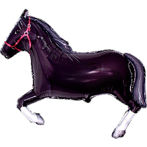 Cavalo negro HSG