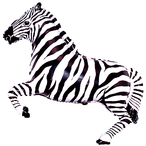 Zebra 14"